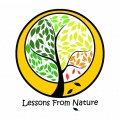 Lessons from nature modules trialled across the EU Lessons from nature modules trialled across the EU